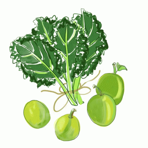 some greens in a sketch on a white background