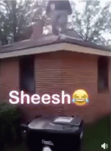 a blue shed that says sheesh with the company's logo