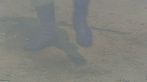 the legs of a person standing near a dog