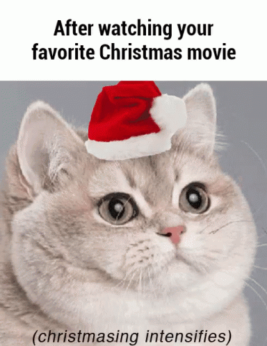 a cat wearing a santa hat with the words after watching your favorite christmas movie