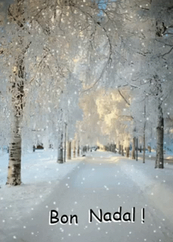 a very bright and snowy street scene has white snow