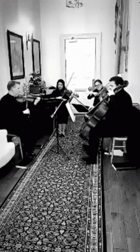 music in a sitting room while musicians play