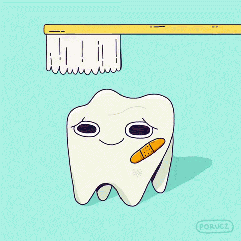 the toothbrush is ready to clean up
