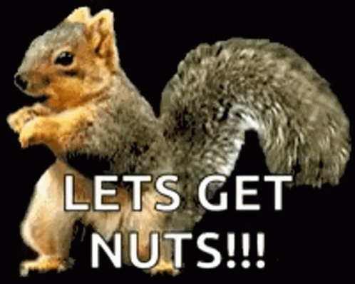a squirrel with a white tail and gray tail sits in front of the words lets get nuts