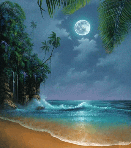 the full moon sets over a tropical beach