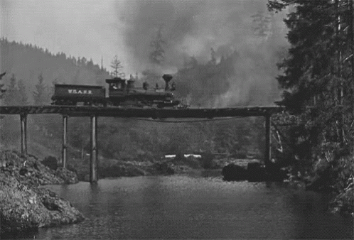 a bridge that is over a river with a train on it