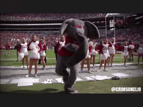 an elephant dancing around a stadium with people watching