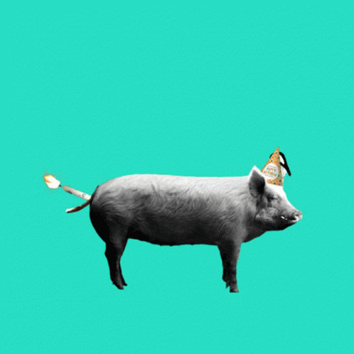 a small pig in a party hat on green