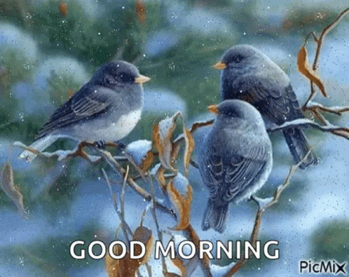 a picture of three birds on a nch with the word good morning on it