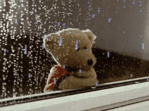 a teddy bear is looking out the window and sitting by the raindrops
