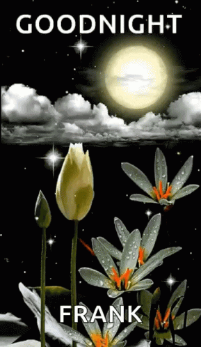 the poster shows the moon and flowers on the background