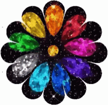 the colors of the flower in the shape of an arrow