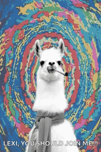 an alpaca with a cigarette in its mouth