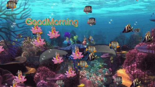a scene with lots of fish and corals