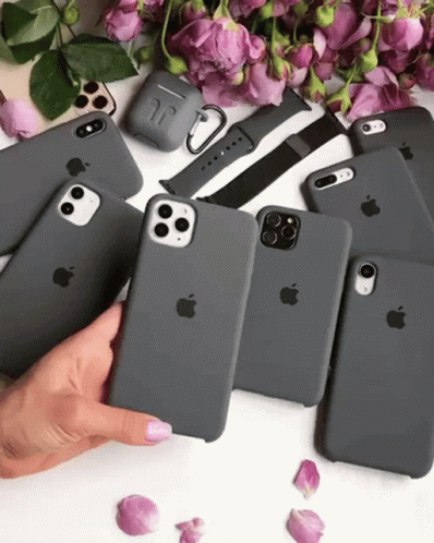 there are four cases for the apple iphones