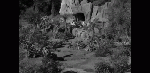 black and white po of landscape with cave entrance