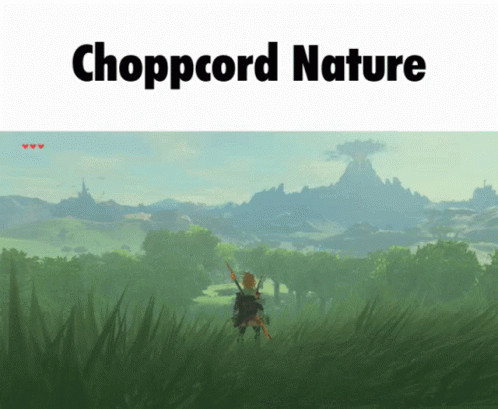 a computer generated picture of a grass land and mountains in the background with the word chop card nature over it