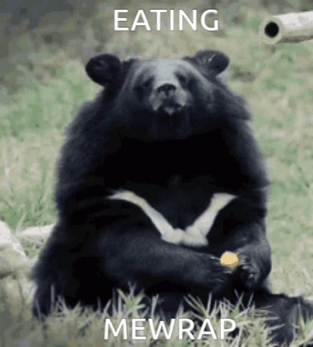a bear sitting in the grass and eating soing