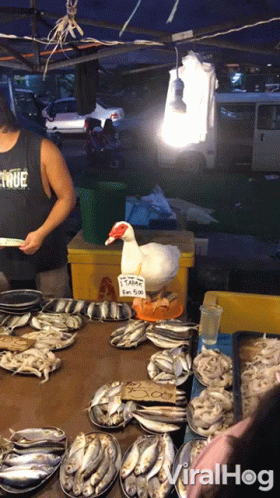 two men are at a seafood stand with fish on the counter