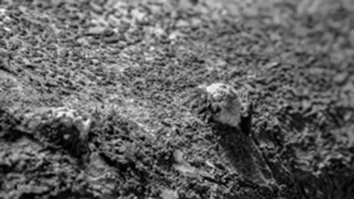some dirt with little rocks around it