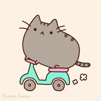 cat riding on a tricycle looking forward