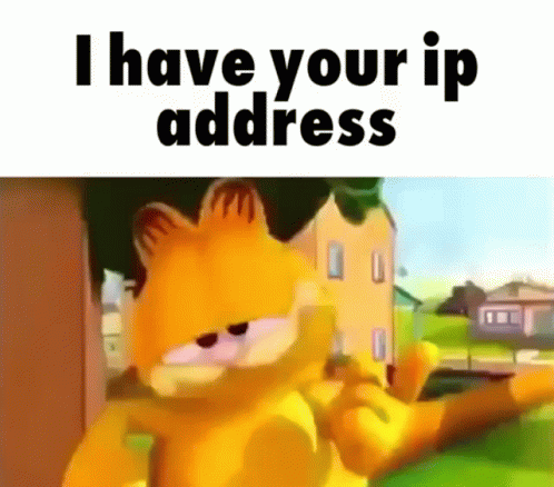 a blue cat has the words i have your ip address on it