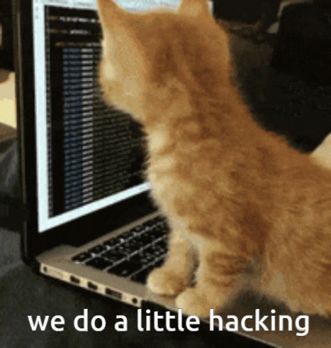 a cat is sitting in front of a laptop computer
