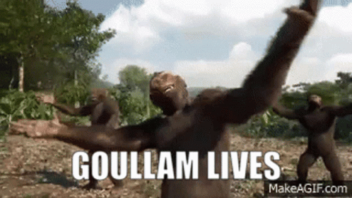 gorillas with one arm in the air while standing on a rock