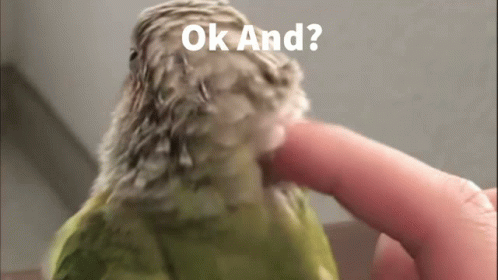 a large bird is being petted by someone