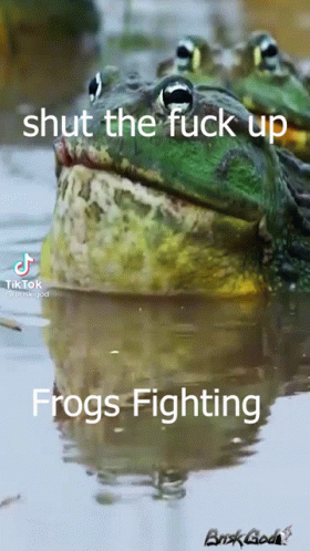 frog with caption saying frog fight should not hurt