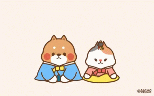 two cats are dressed in costumes with bows