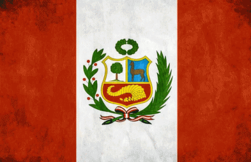 flag of the city of laredoa, venezuela
