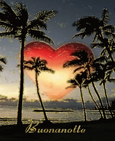 a palm trees and heart shape sign in front of a beach