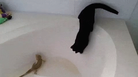 there is a cat that is laying in the bathtub