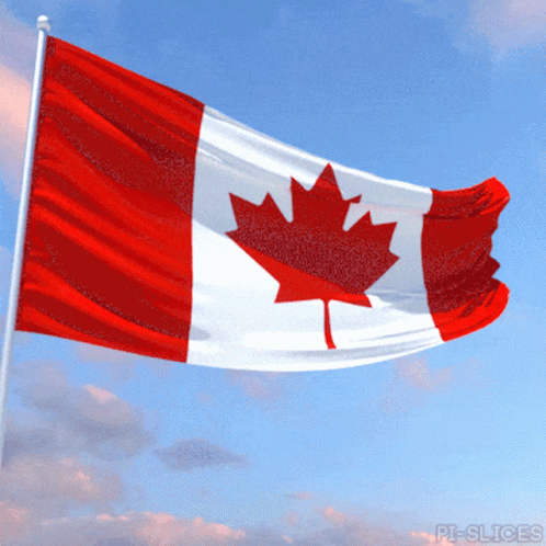 an canadian flag flying in the air with a cloud in the background