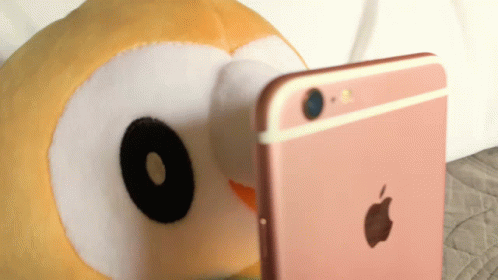 an animal that is holding an apple iphone