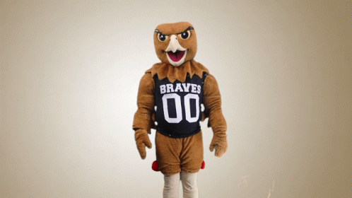 the mascot has a brown shirt and pants