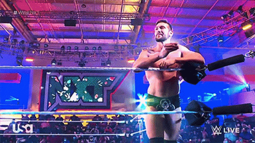 two wrestlers wrestling inside an arena in a colorful fashion