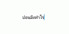 the words in a thai language