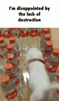 the white dog is in the water with several water bottles