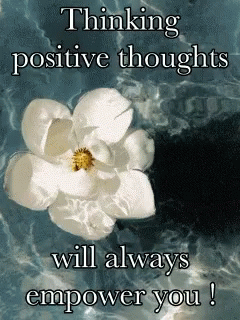 there is an image of white flower and the words thinking positive thoughts will always emop