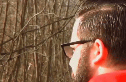 a bearded man stares in front of trees