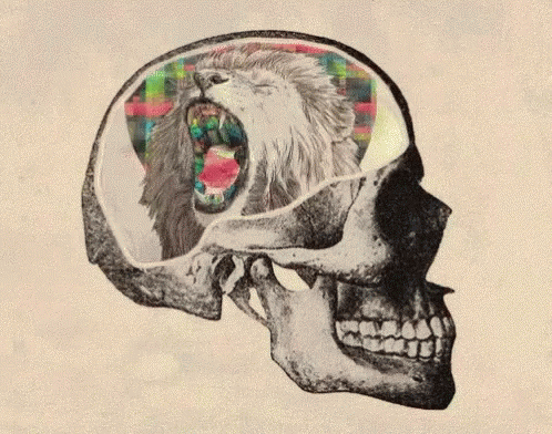 a drawing of a human skull with the in in its center