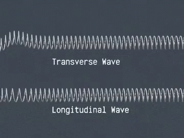 several silver spirals, which have the names of different types of waves