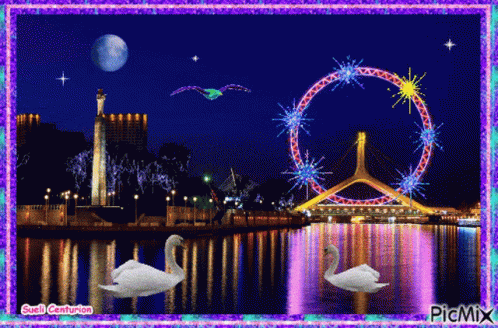 two swans sitting on a river in front of a ferris wheel