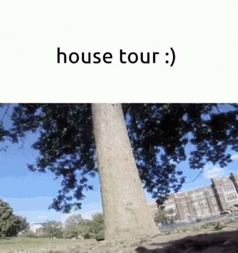 a po of a tree with a sign below that reads house tour