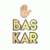 the logo for a business that has been called bas kar