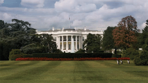 a white house with tall hedges in front