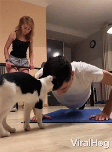 a cat and man are doing yoga for their pets