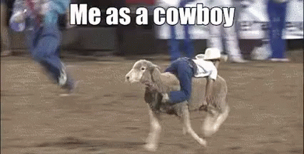 a picture with words that say me as a cowboy